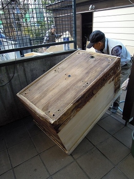 06.jpg