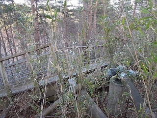 C1フォレスト残骸.jpg