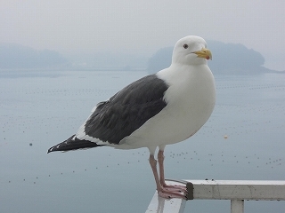 G南三陸旅館.jpg