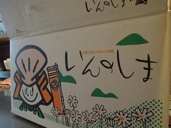 いんのしま.jpg
