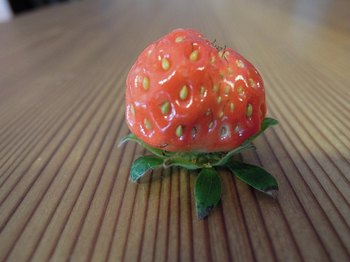 s-DSCN4049.jpg