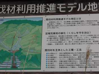 s-DSCN1007.jpg