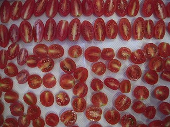 s-DSCN3378.jpg
