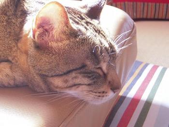 s-DSCN9573.jpg